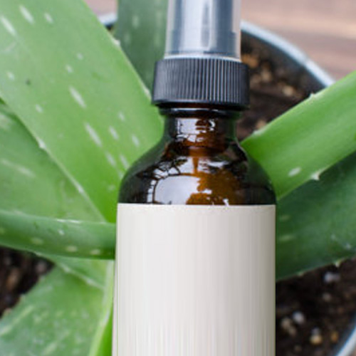 Aloe Mist Spray