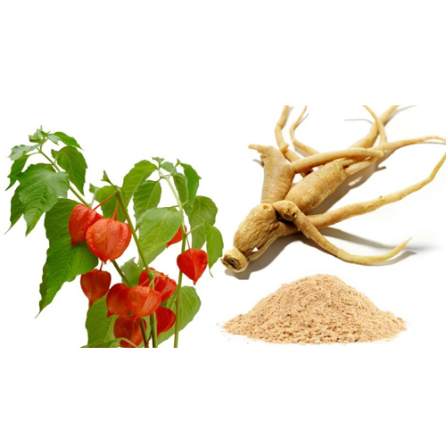 Ashwagandha